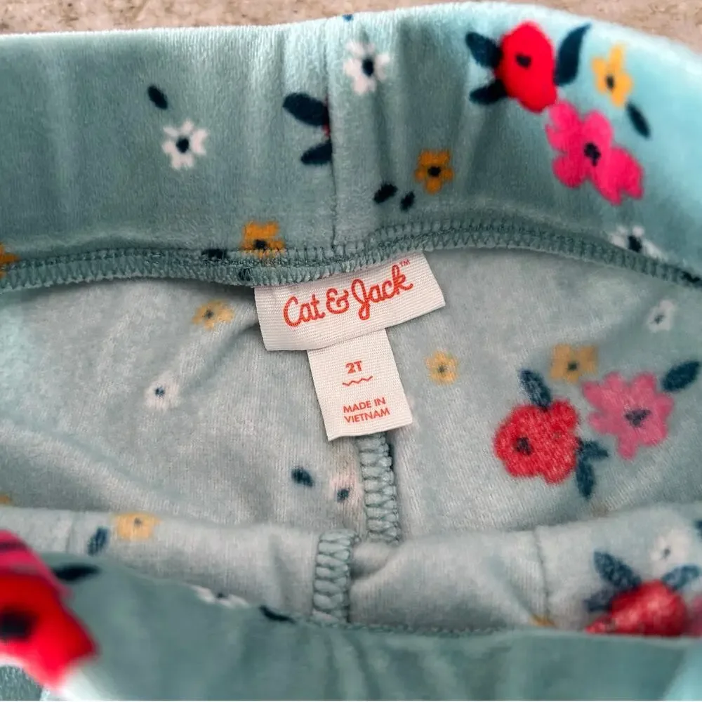 Cat & Jack Toddler Girl Velour Floral Lounge Set 2T Blue Jogger Set